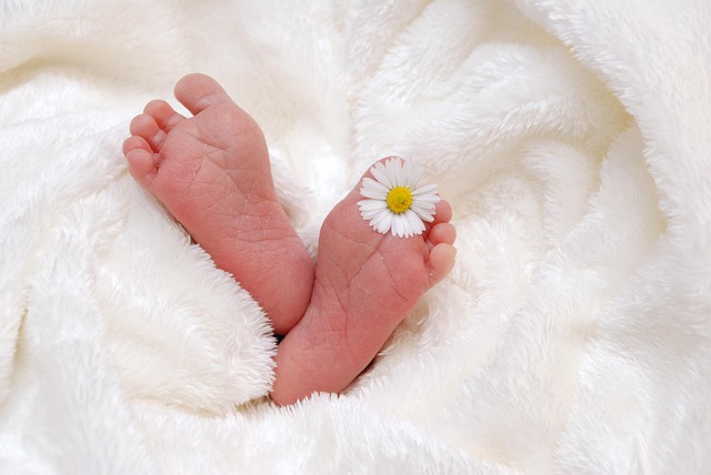 Leg med baby behøver ikke være dyrt eller kræve meget udstyr